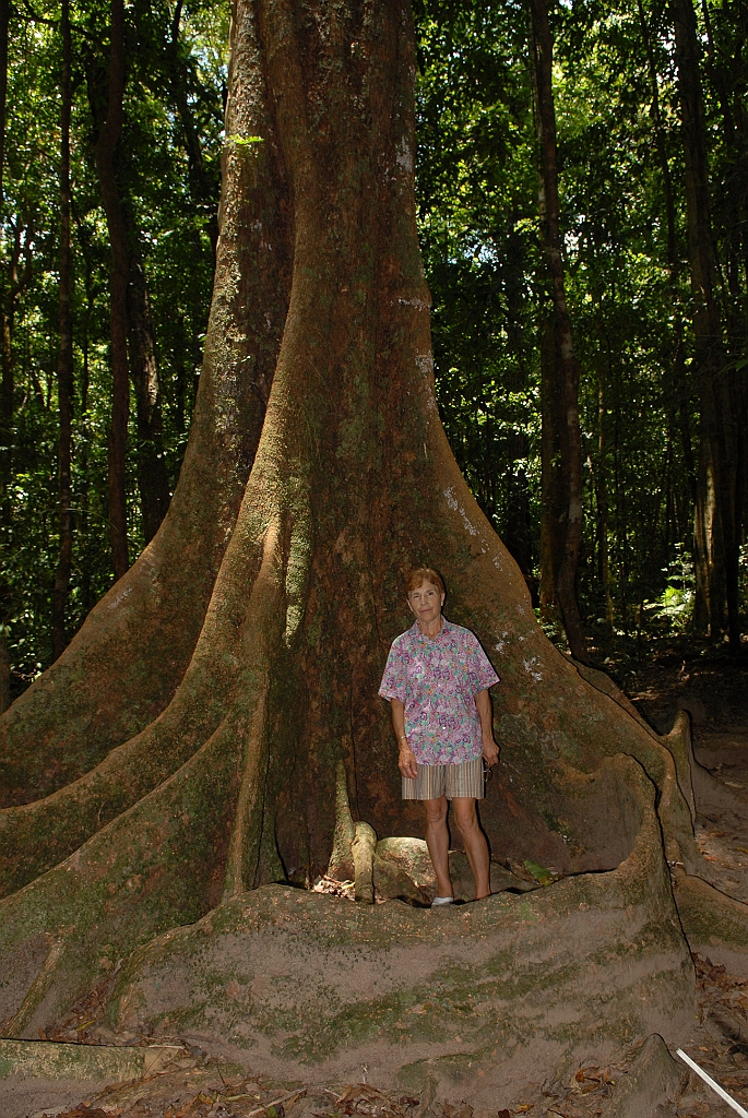 0984 Mossman Gorge.jpg